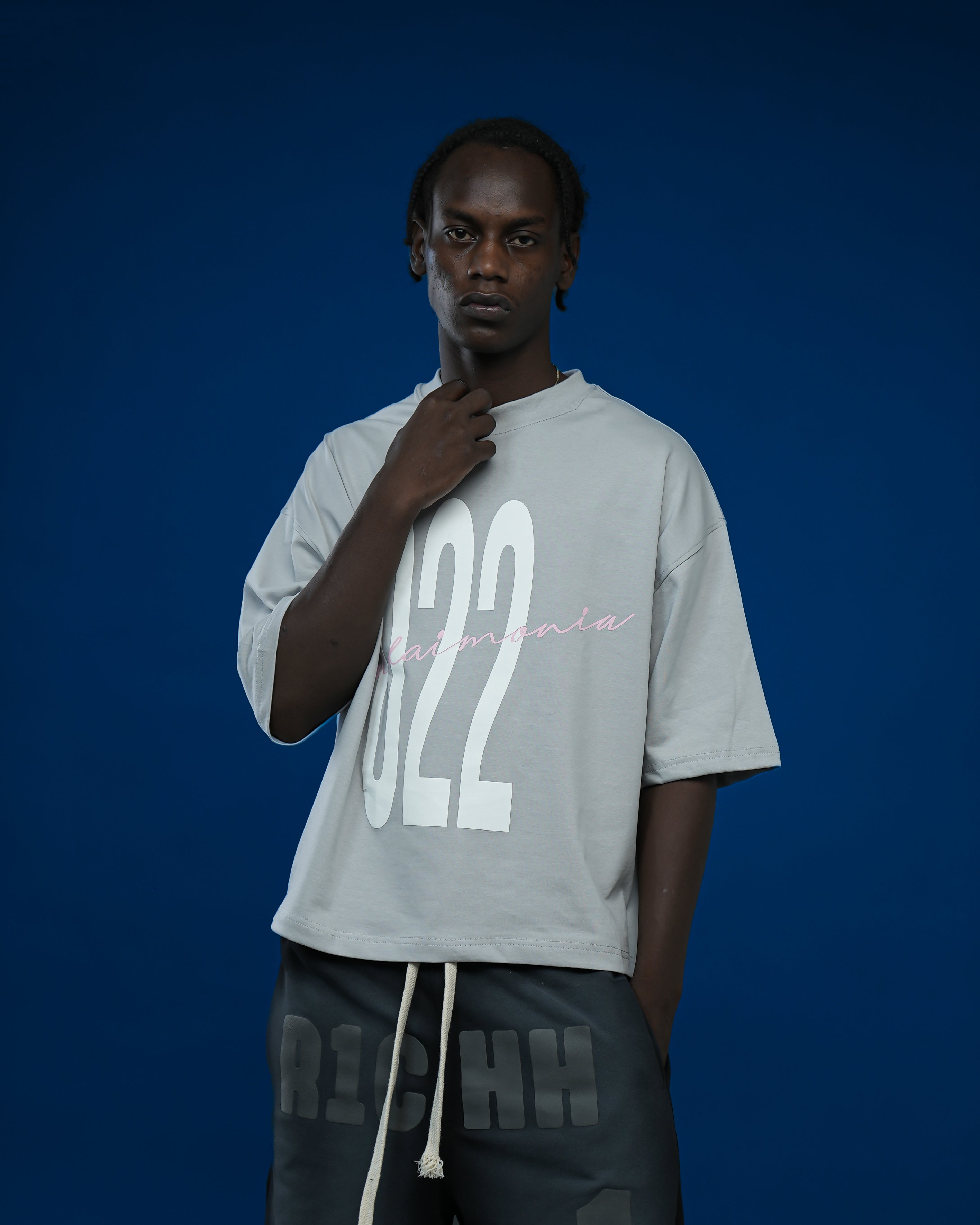 Grey - 002 cropped Tshirt